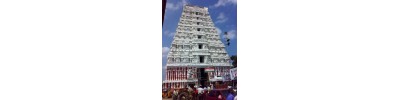 255. திருக்காளத்தி